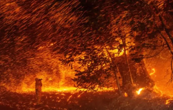A person stands silhouetted on a rock, overlooking a forest engulfed in flames at night. The sky glows orange from the intense fire, with trees outlined against the fiery backdrop. The scene is dramatic and intense.